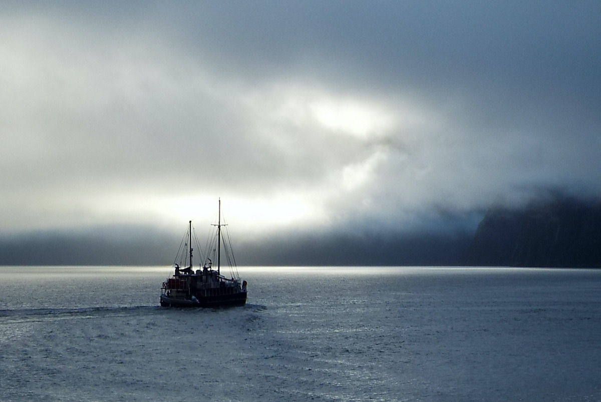 Early Morning On Milford Sound - Pat Ainger